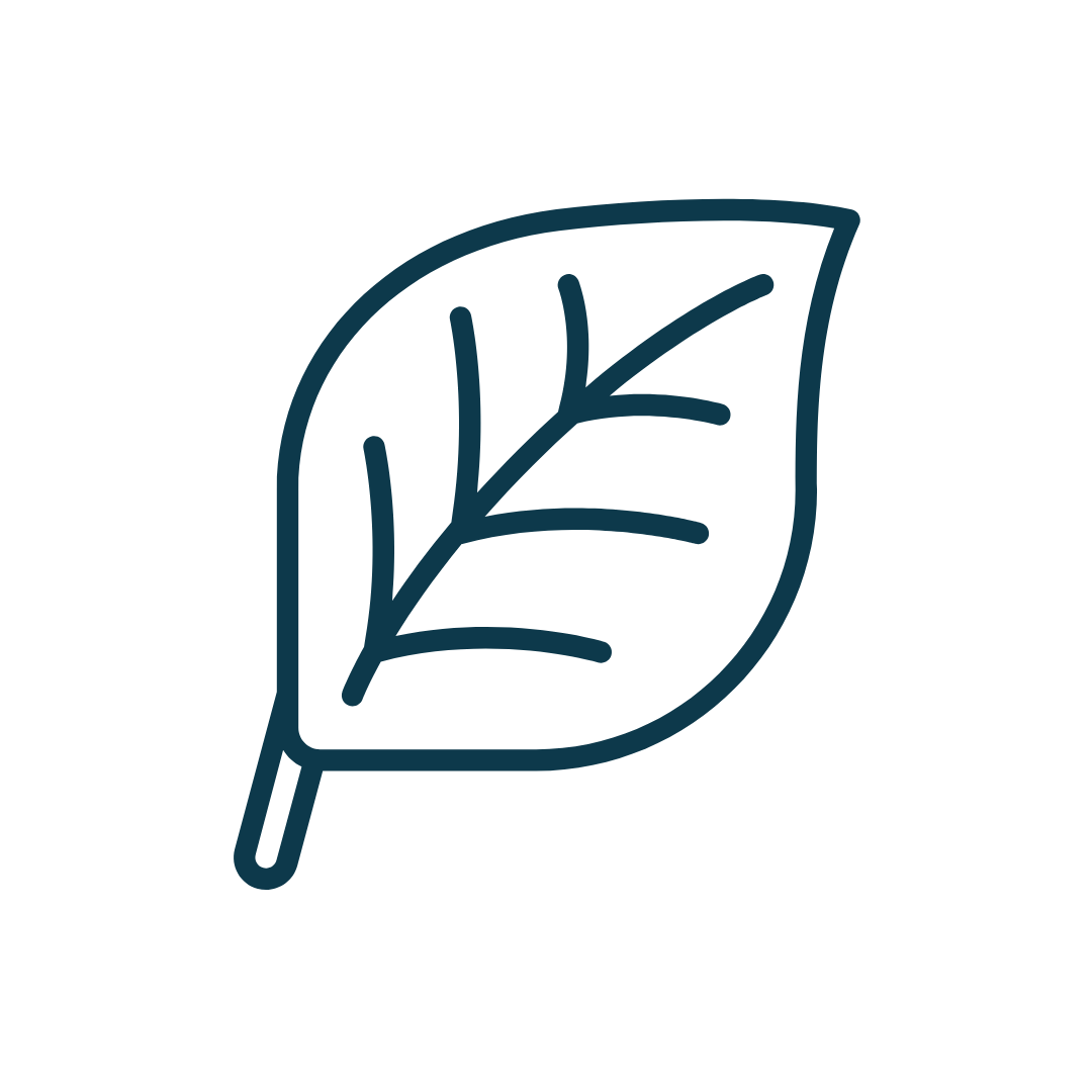 The Nourish Move Flourish Method – 3-step system for better sleep and energy for women over 40