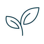 Nourish Nourish